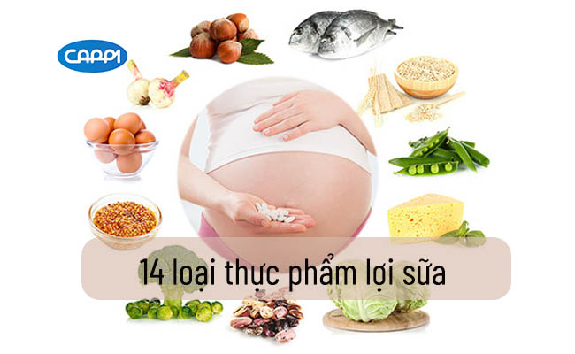 Thực Phẩm Lợi Sữa